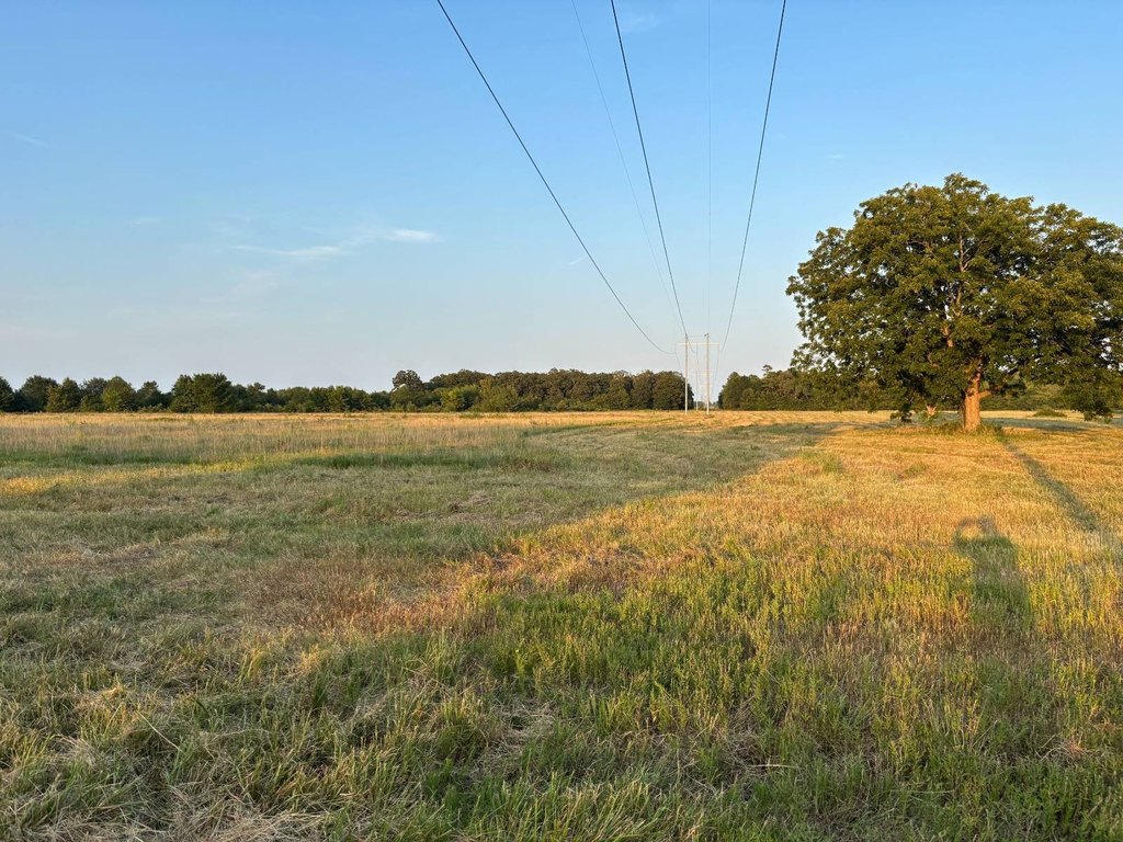 Picture 25