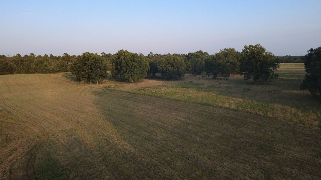 Picture 45
