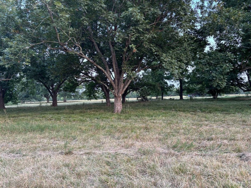 Picture 4