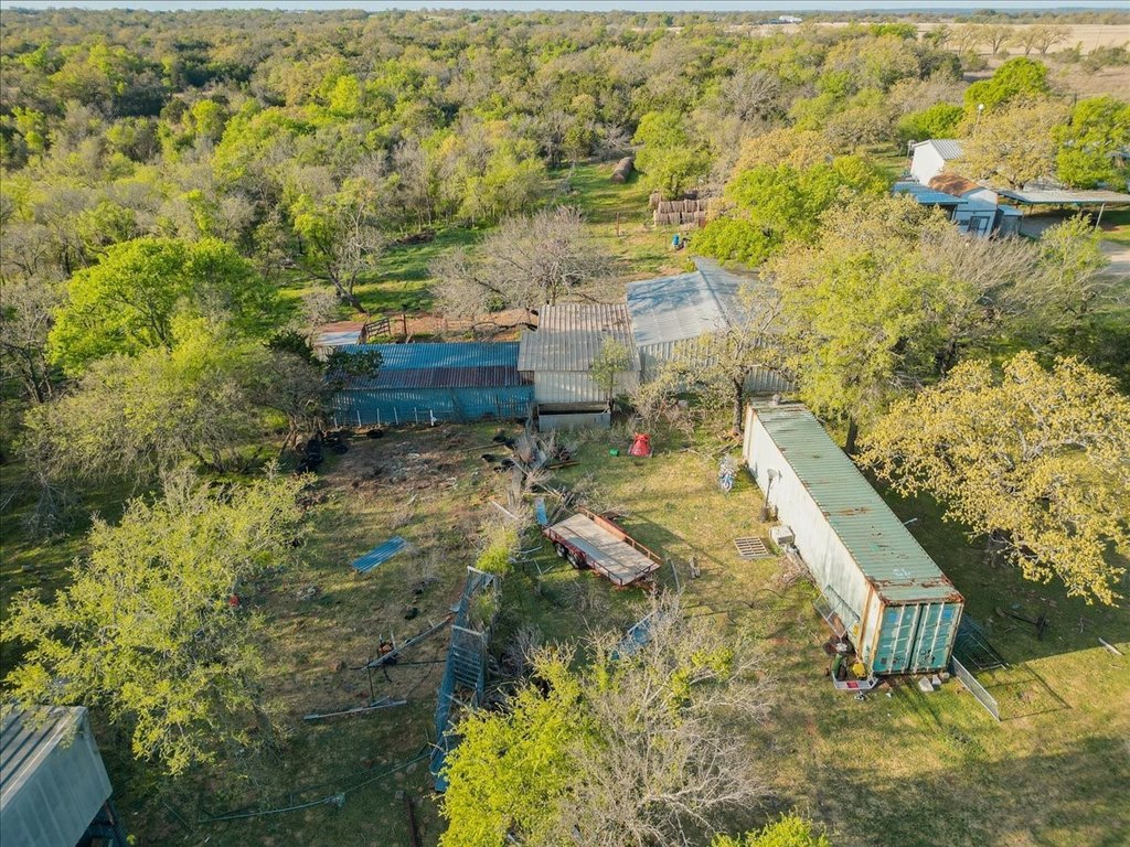 Picture 21