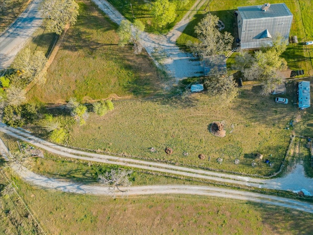 Picture 12