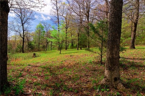 Land, West Fork, AR