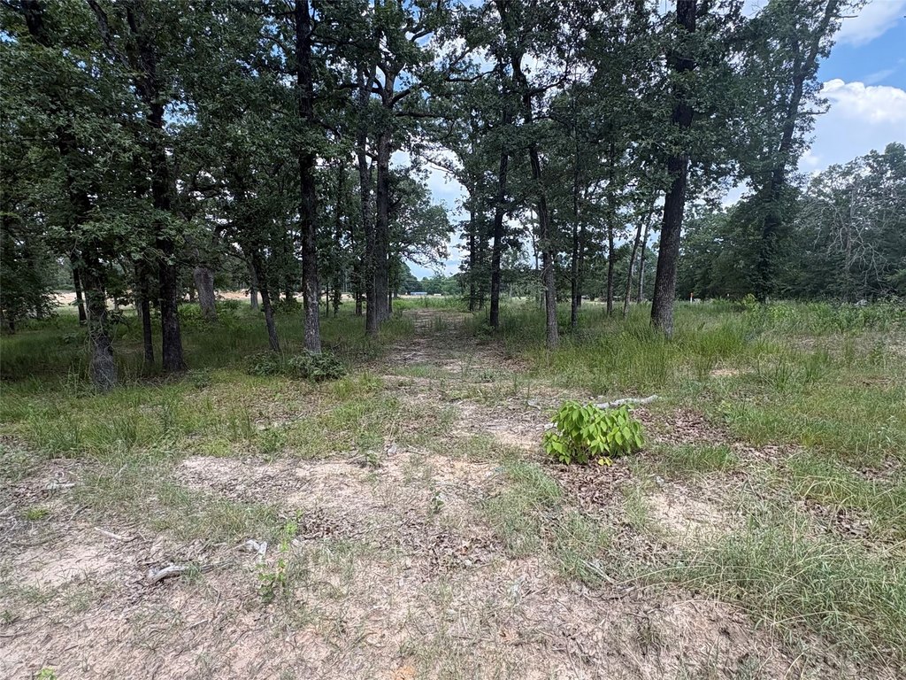 Picture 6