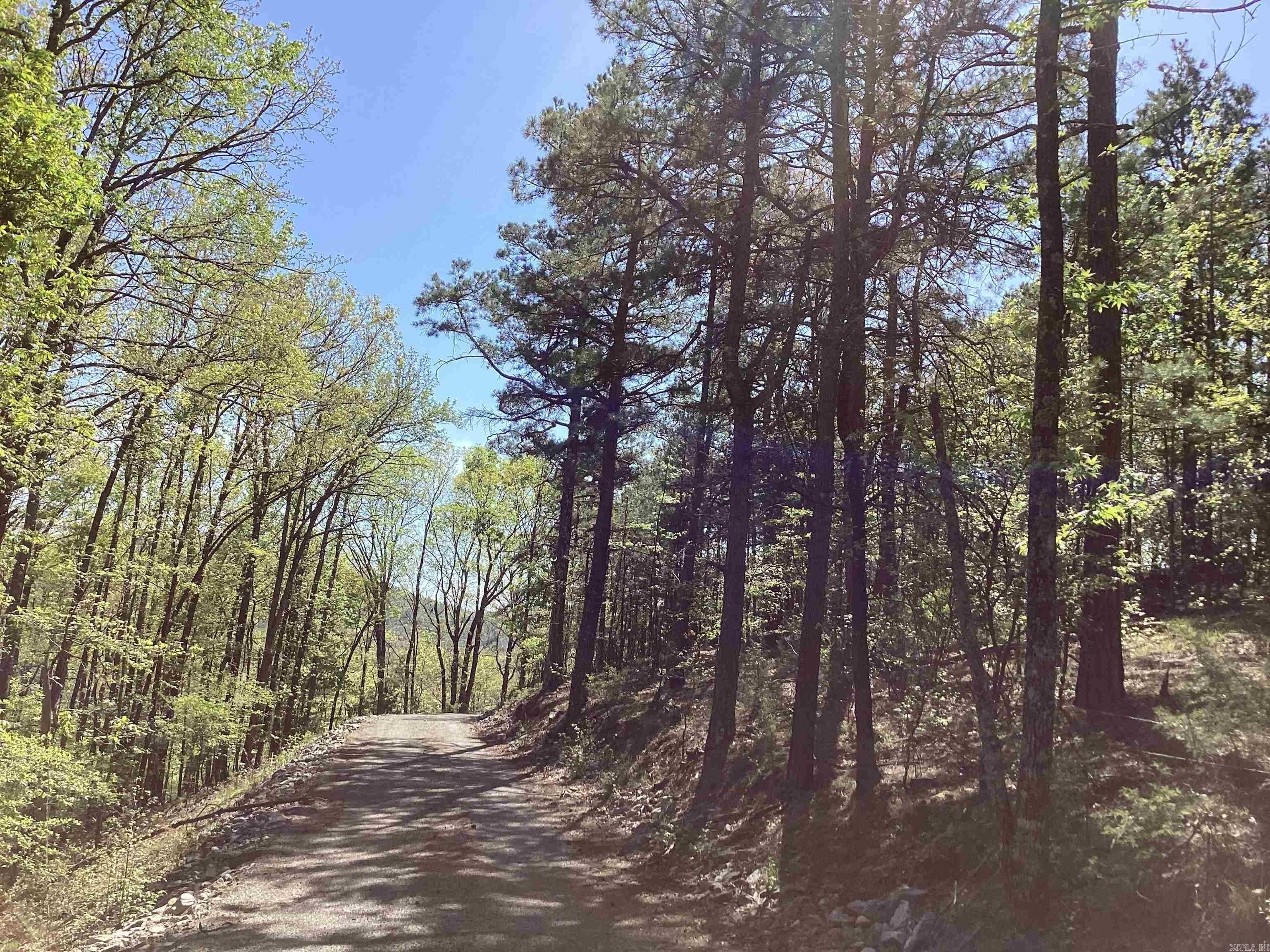 Mena, AR Land Opportunity