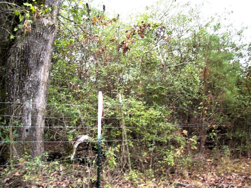 Picture 7