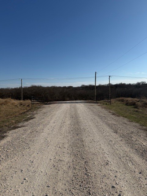 Picture 25