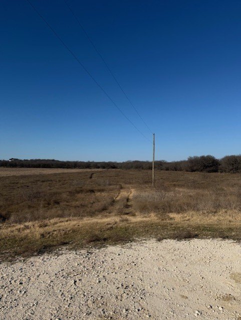 Picture 23