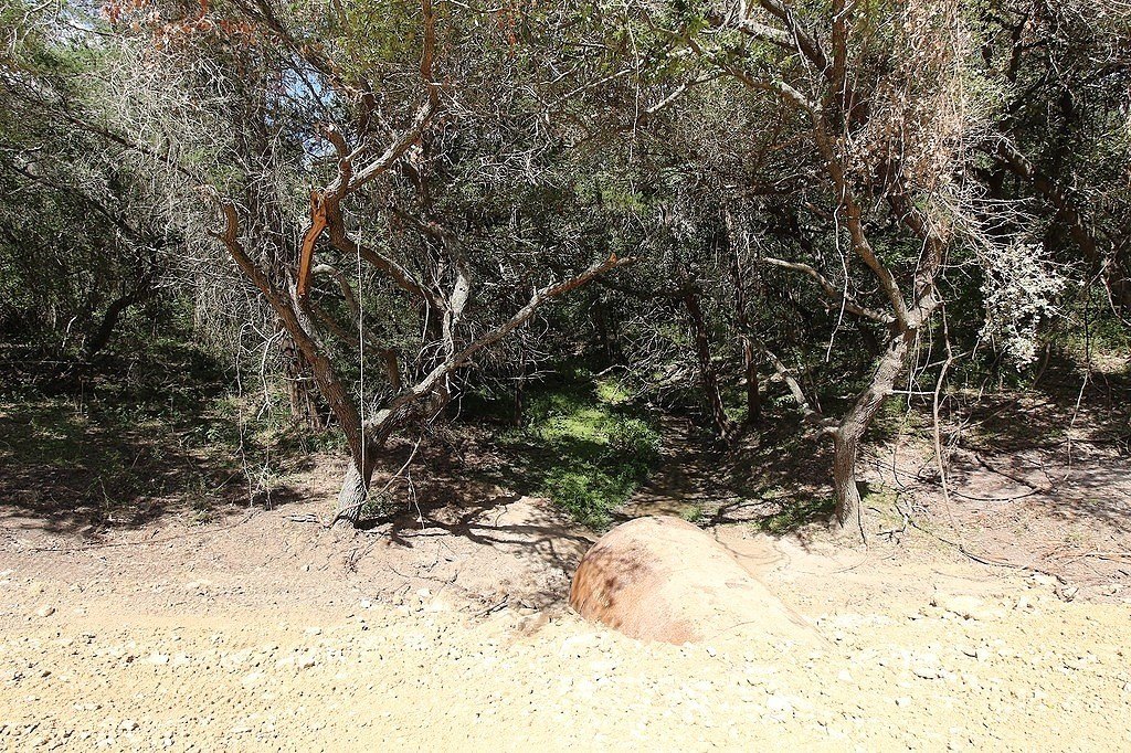 Picture 7