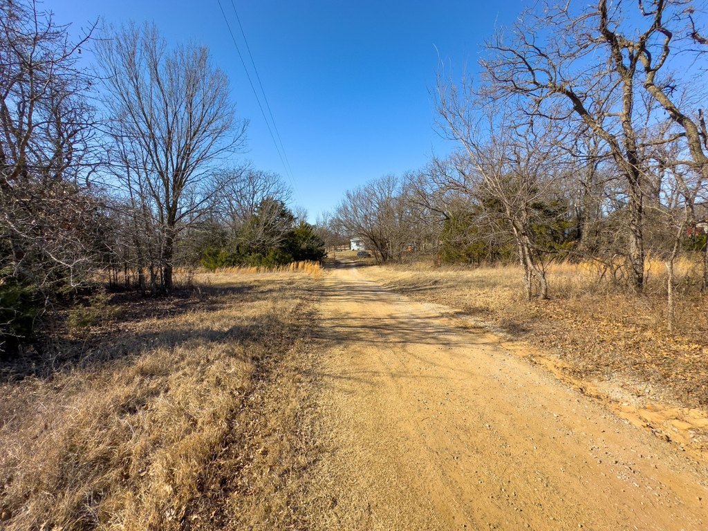 Picture 27
