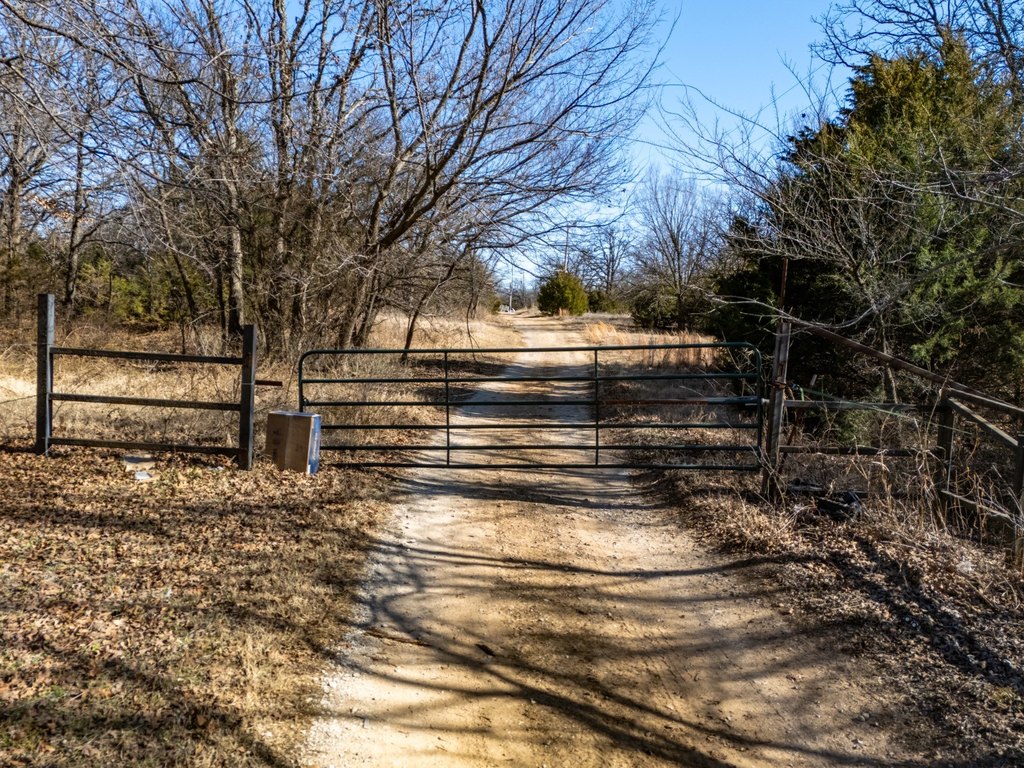 Picture 18
