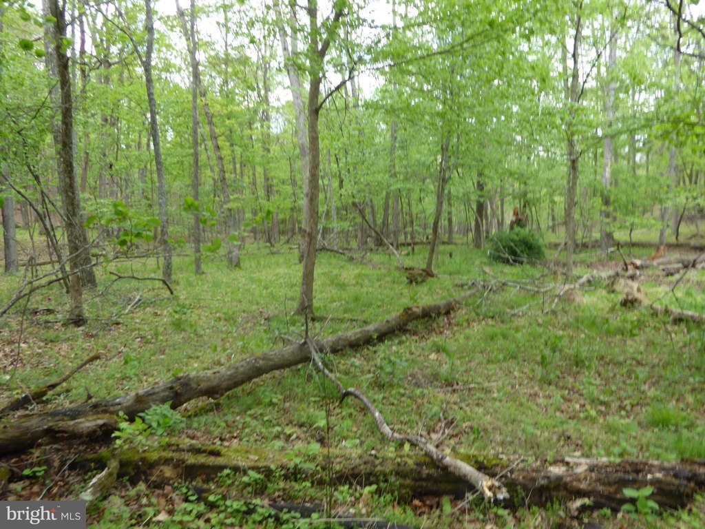 Picture 12