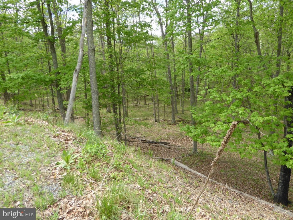 Picture 9