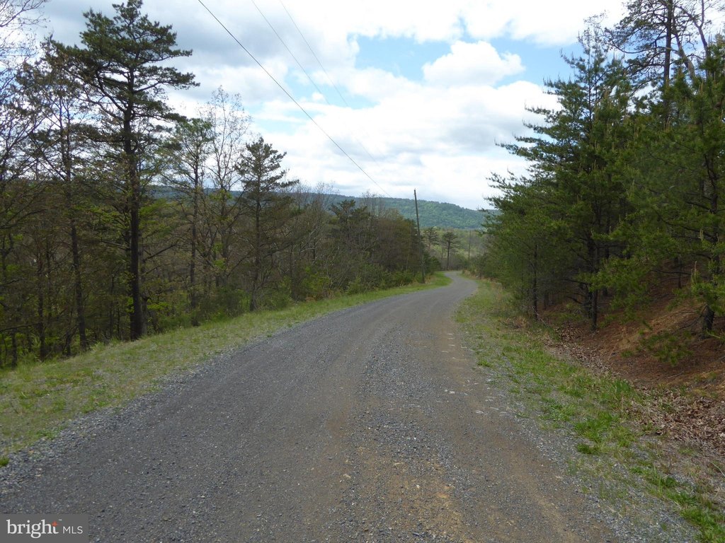 Picture 8