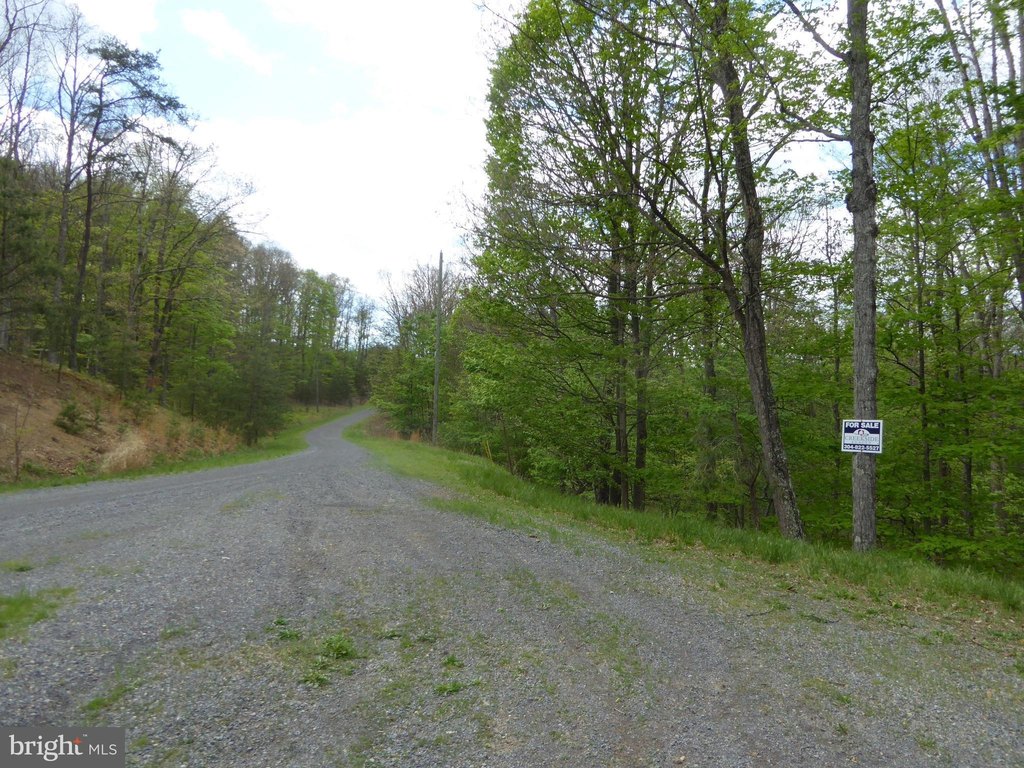 Picture 14