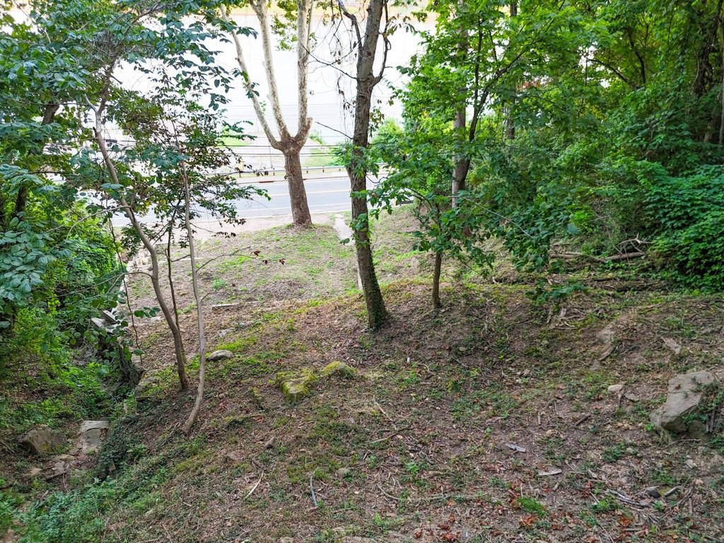 Picture 7