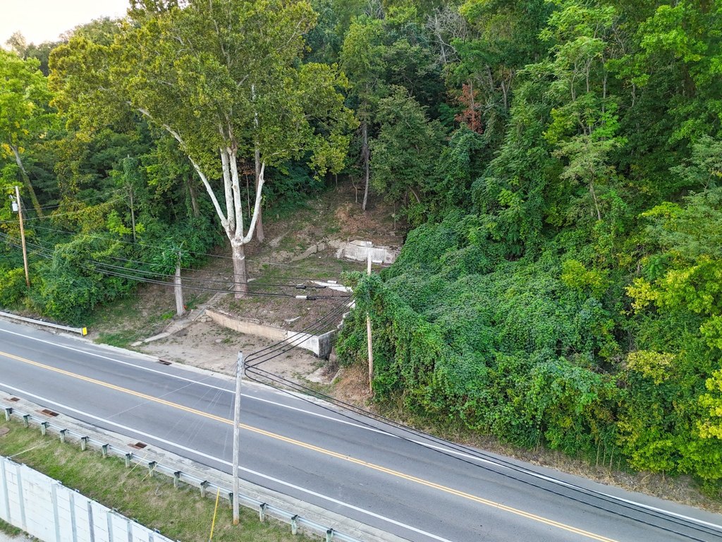 Picture 3