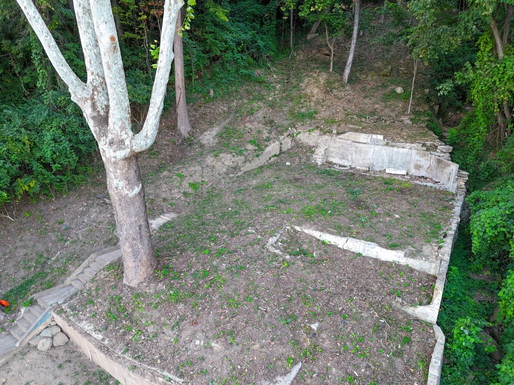Picture 5