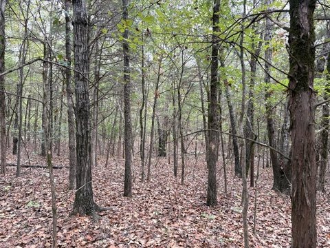 Wooded Hunting Land with Pond
