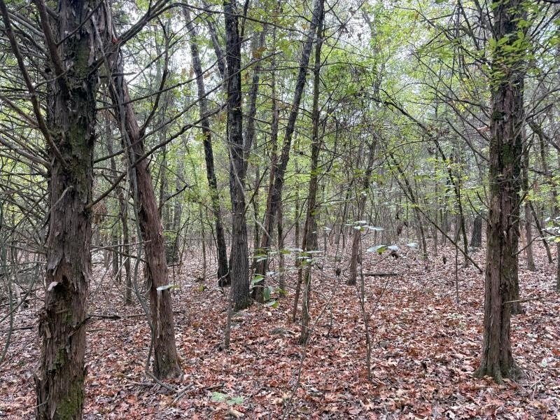 Picture 12
