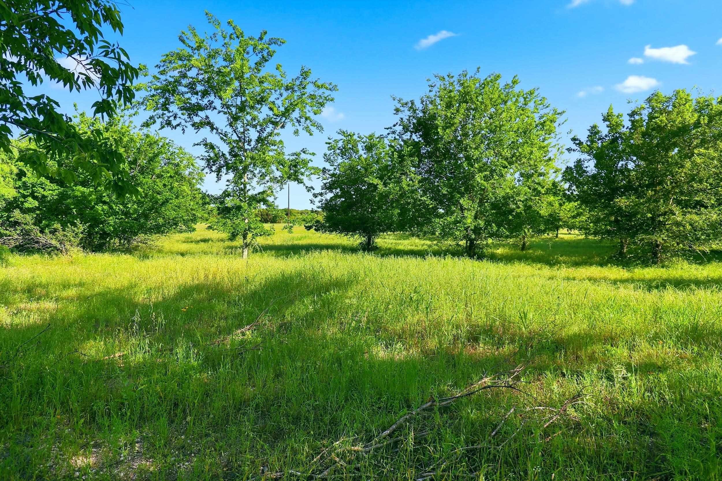 Unrestricted Land Near Burnet, TX