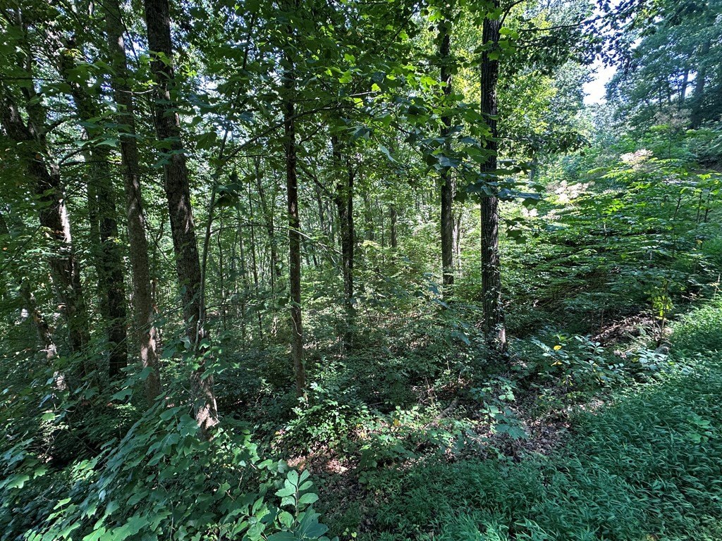 Picture 10
