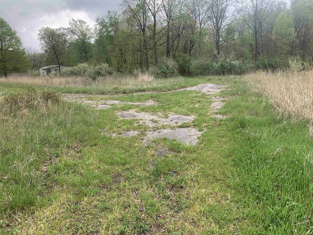 Picture 21