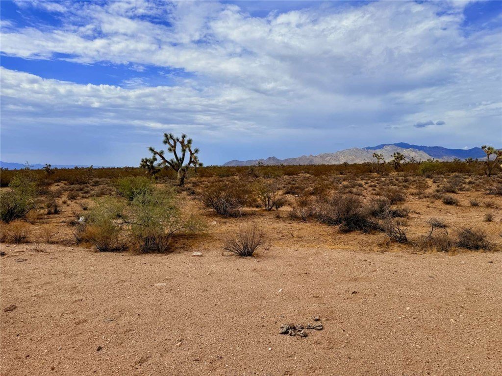 Picture 23