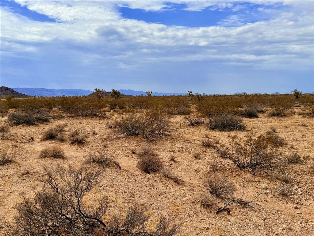 Picture 19