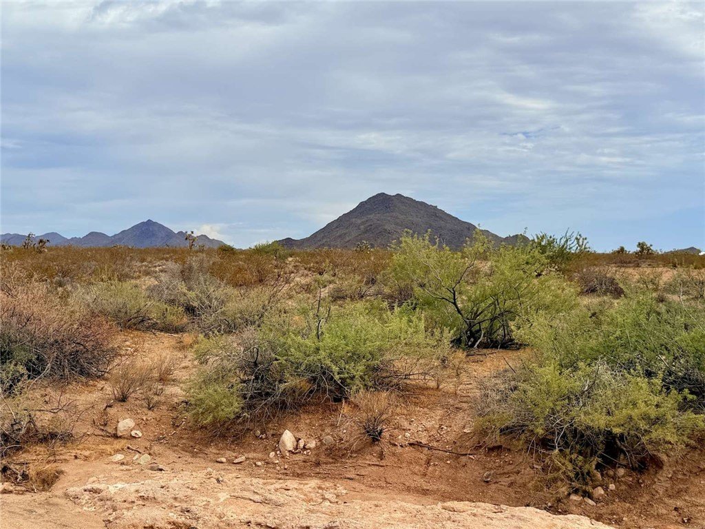 Picture 10