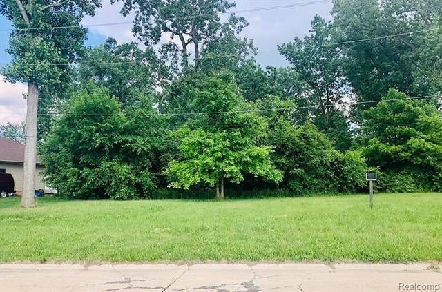 Romulus Buildable Residential Lot