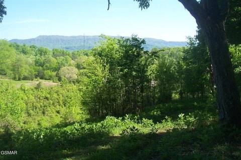 Unrestricted Land on Chapman Highway