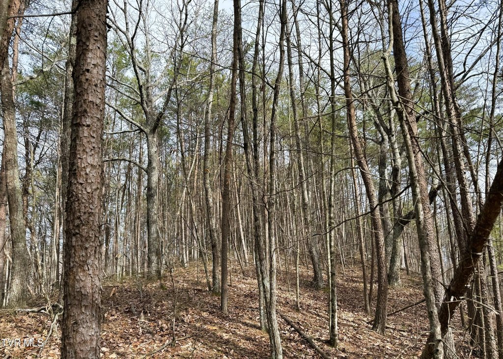 Picture 25