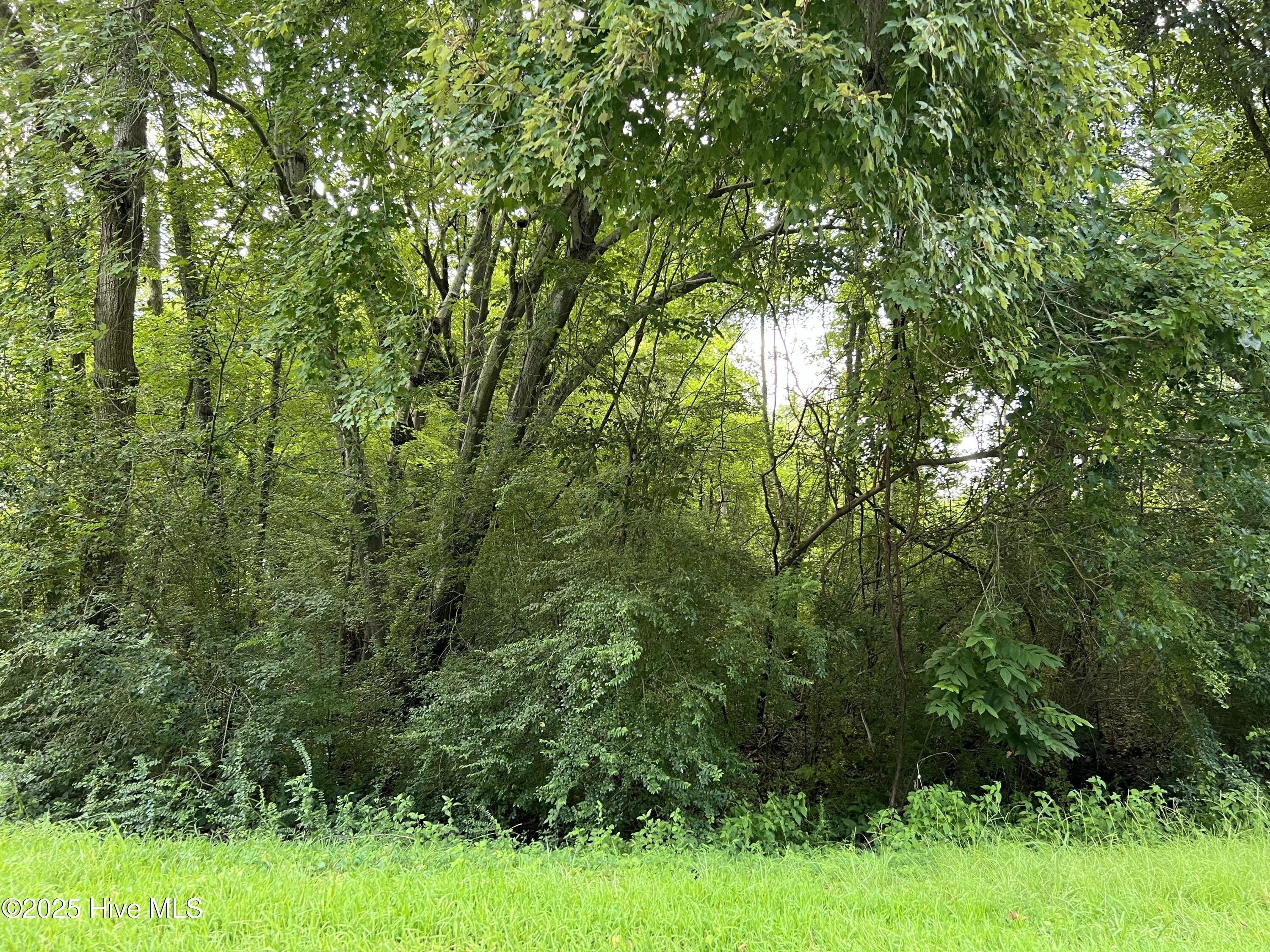 Edenton Land with Water Access