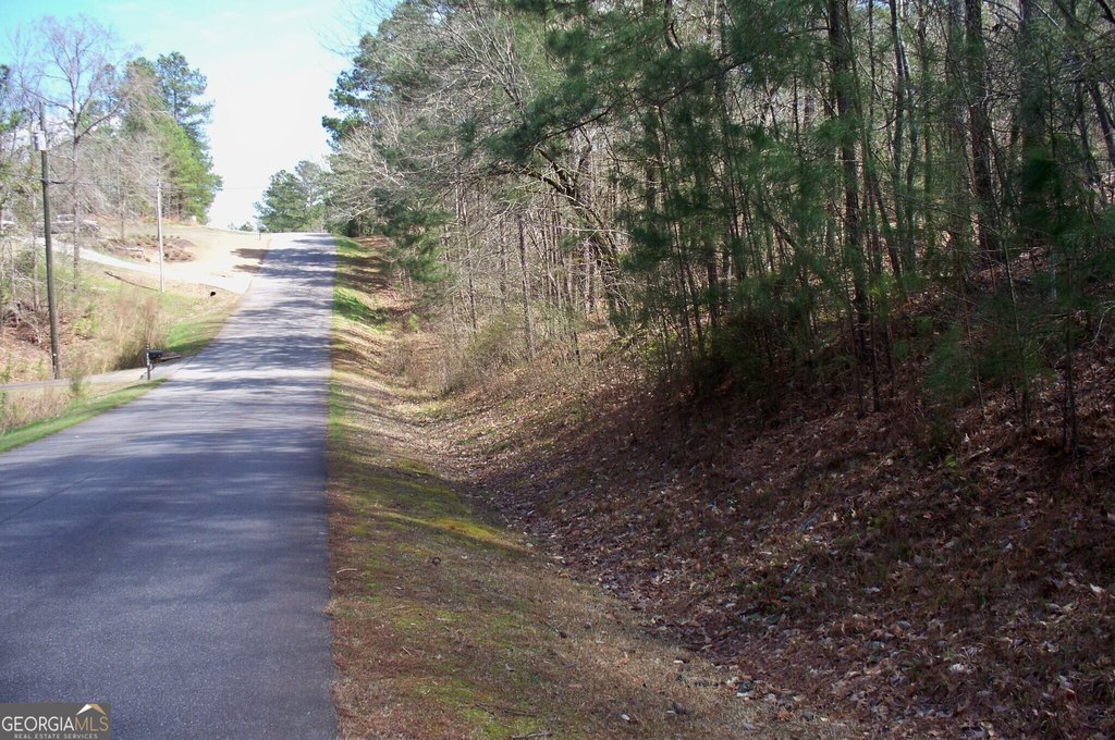 Picture 4