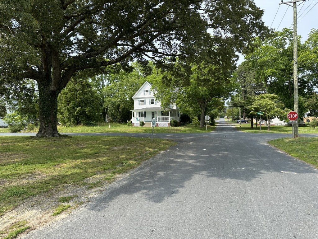 Picture 9