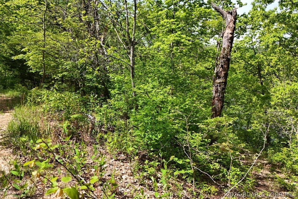 Picture 5