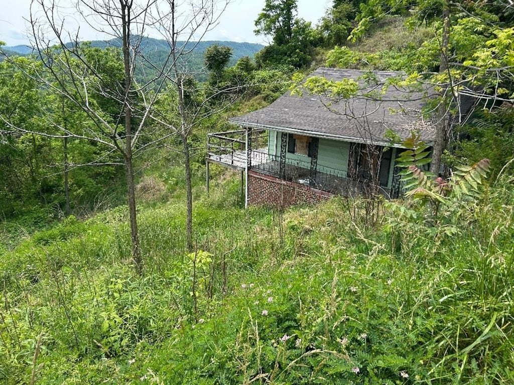 Picture 2