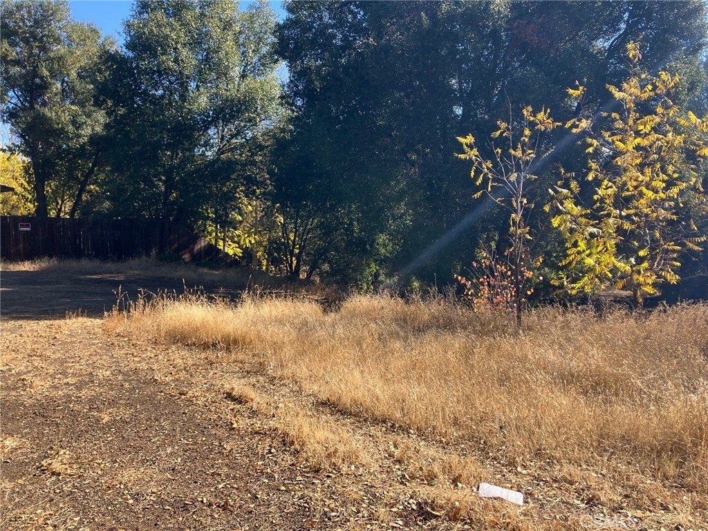 Picture 3