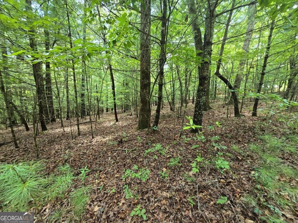 Picture 29