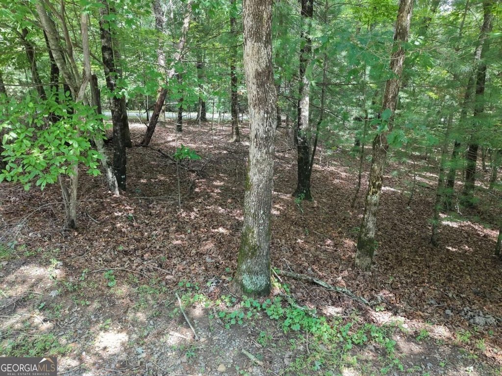 Picture 15
