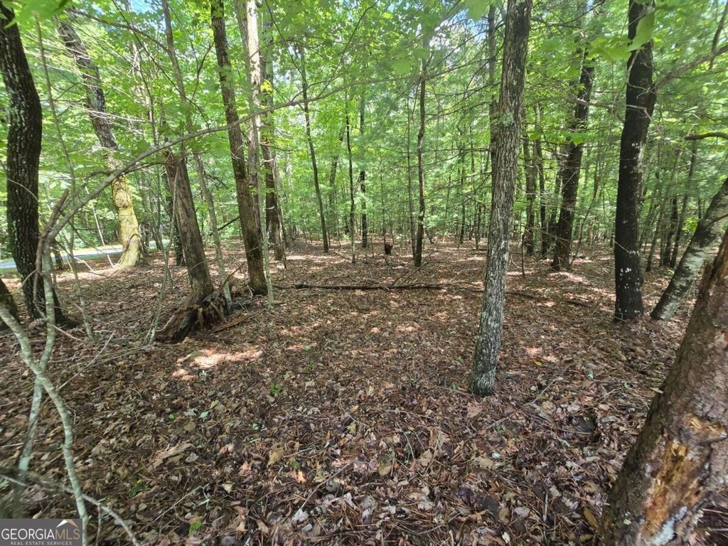 Picture 8
