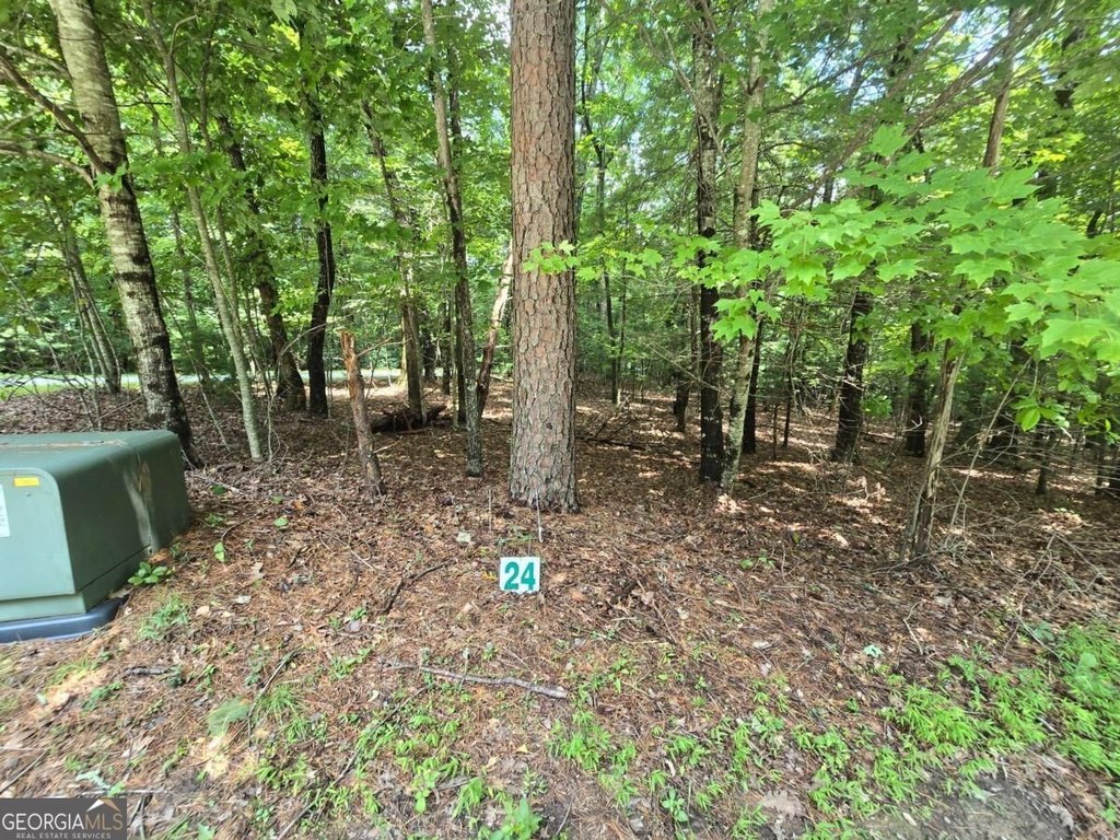Picture 3