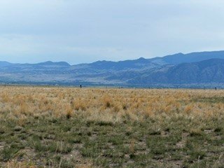 Land, Whitehall, MT