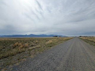 Picture 9