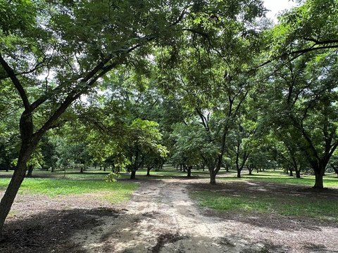 Cairo, GA Land For Sale