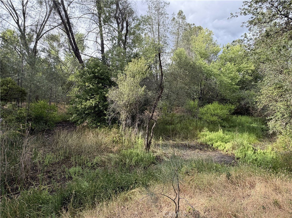Picture 12