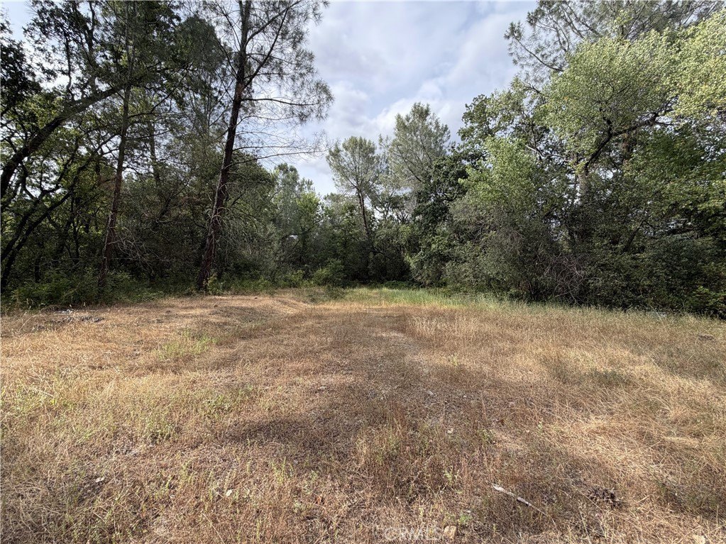 Picture 21