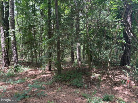 Land, HAGUE, VA