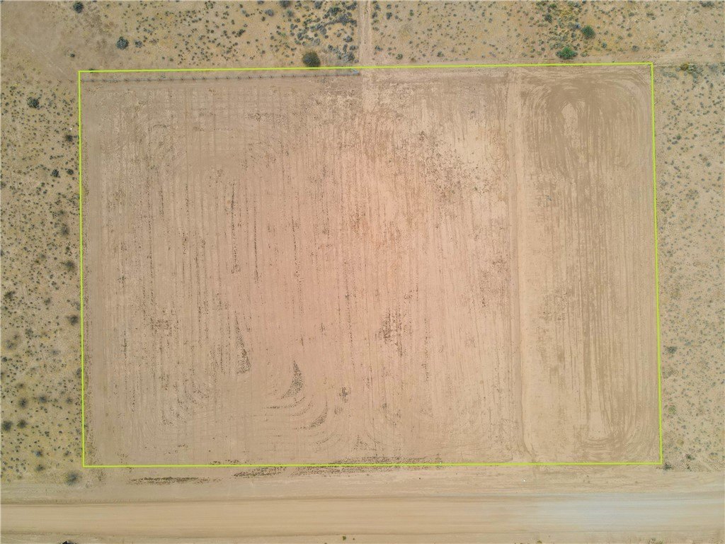 Picture 15