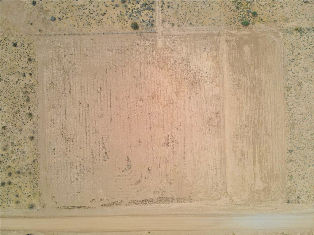 Picture 14